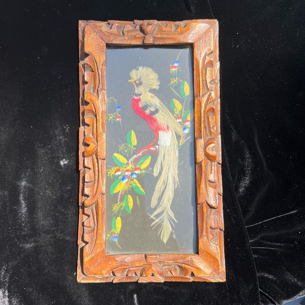 Vintage Feather Bird In Ornate Carved Wood Frame Featherwork Plume Art Tropical